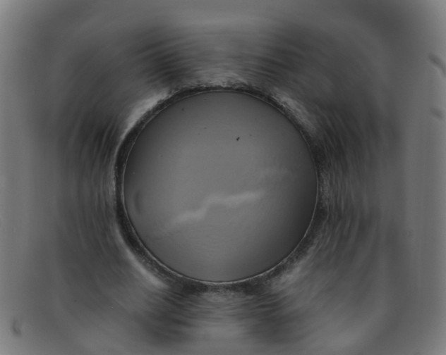 X0000091500630200709131851