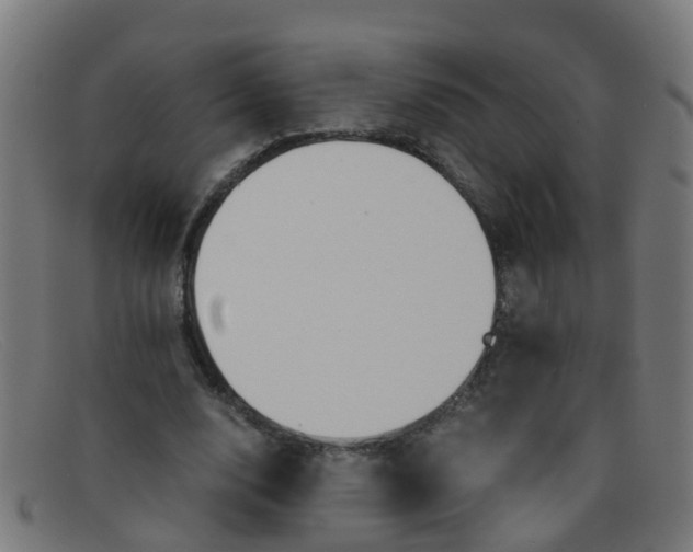 X0000091500632200709131851