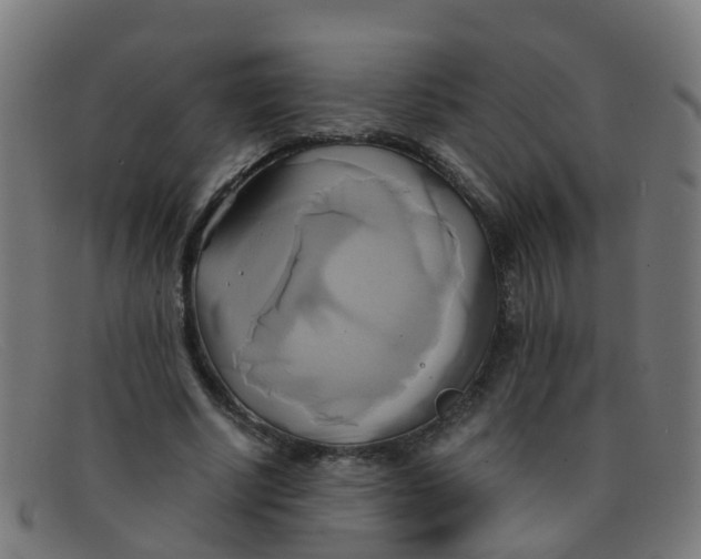 X0000091500634200709131851