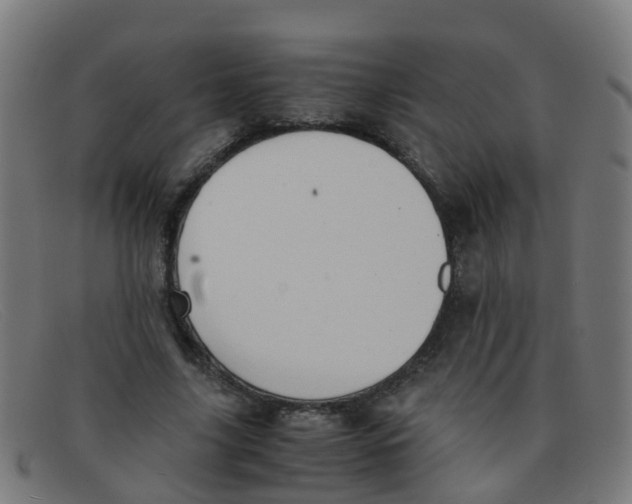 X0000091500635200709131851