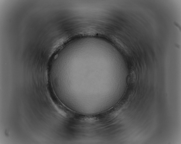 X0000091500638200709131851