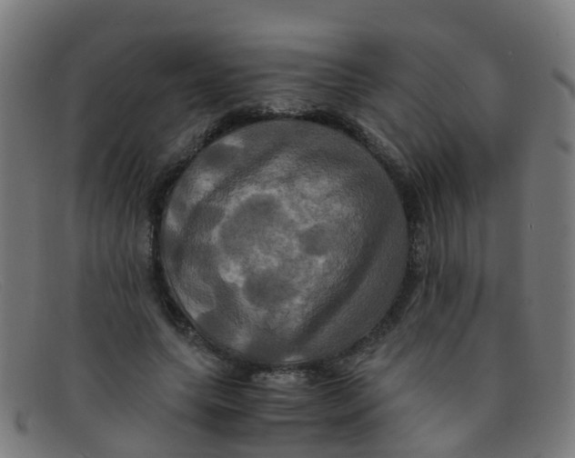 X0000091500639200709131851