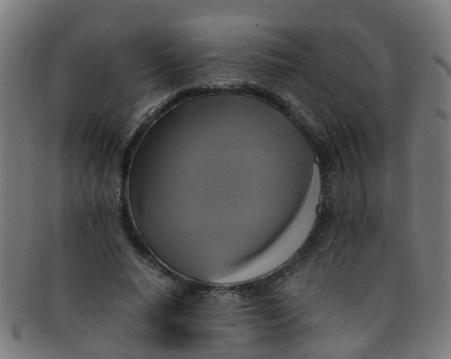 X0000091500640200709131851