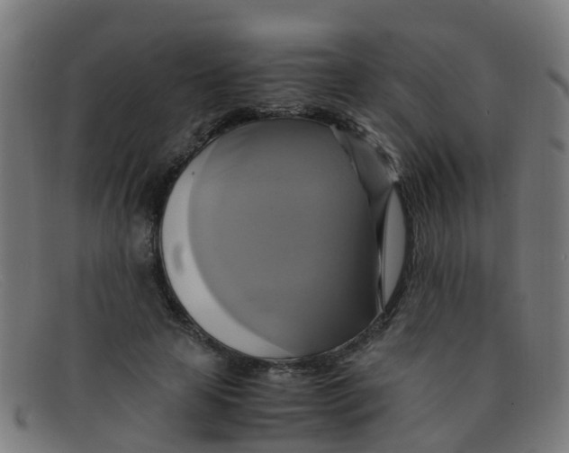 X0000091500641200709131851