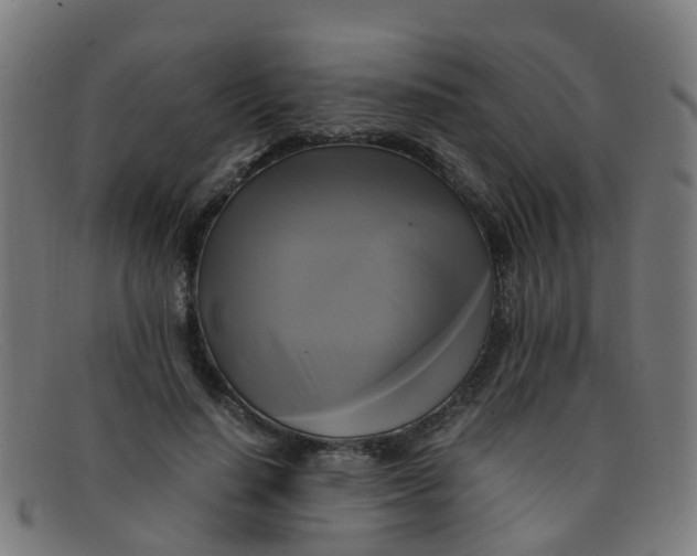 X0000091500644200709131851