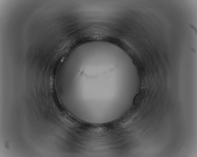 X0000091500646200709131851