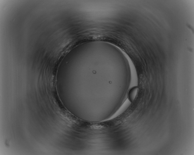 X0000091500650200709131851