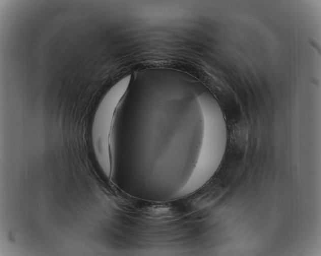 X0000091500651200709131851