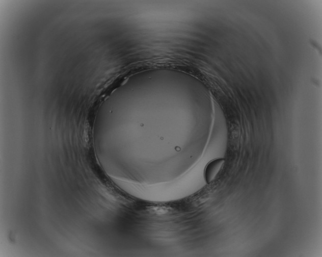 X0000091500654200709131851