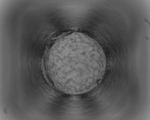 X0000091500656200709131851