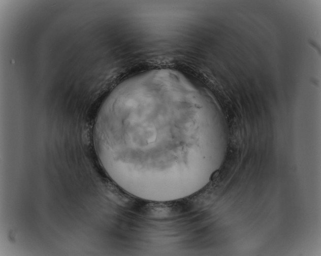 X0000091500658200709131851