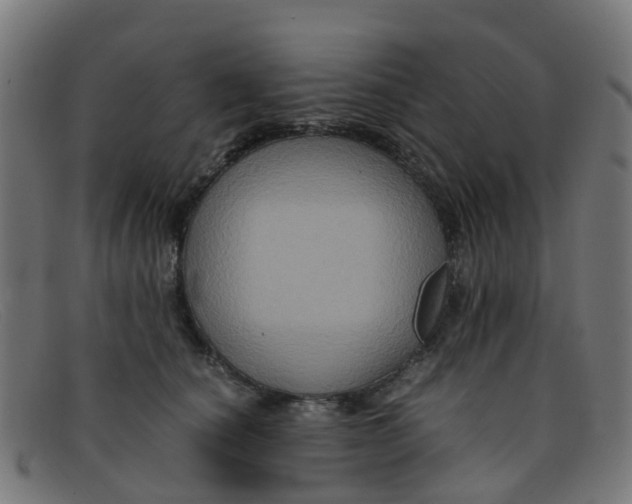 X0000091500660200709131851