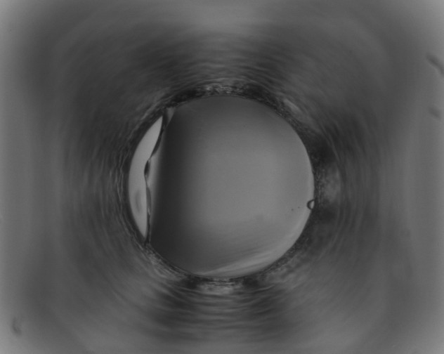 X0000091500661200709131851