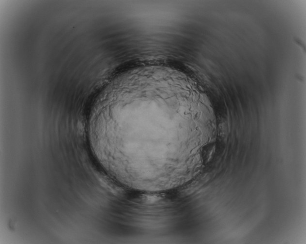 X0000091500662200709131851