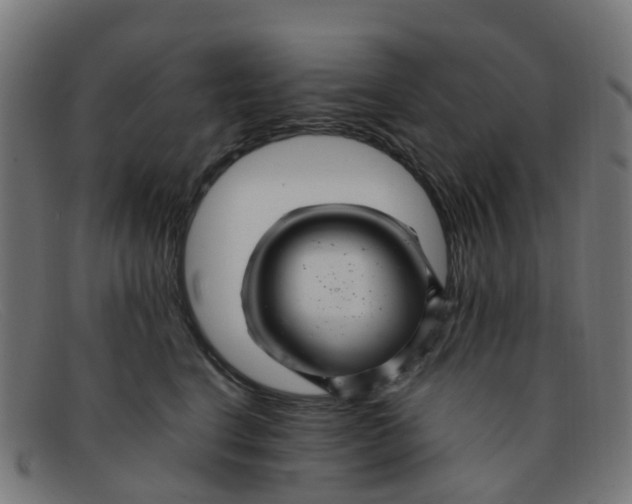 X0000091500664200709131851