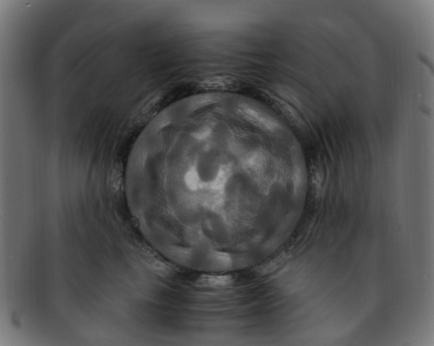 X0000091500665200709131851