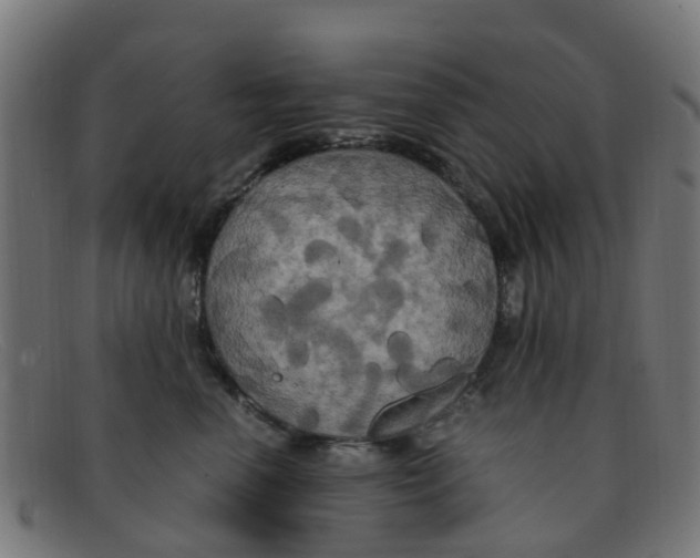 X0000091500666200709131851