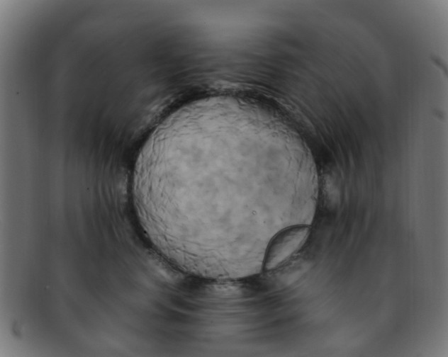 X0000091500668200709131851