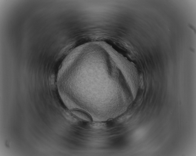 X0000091500670200709131851