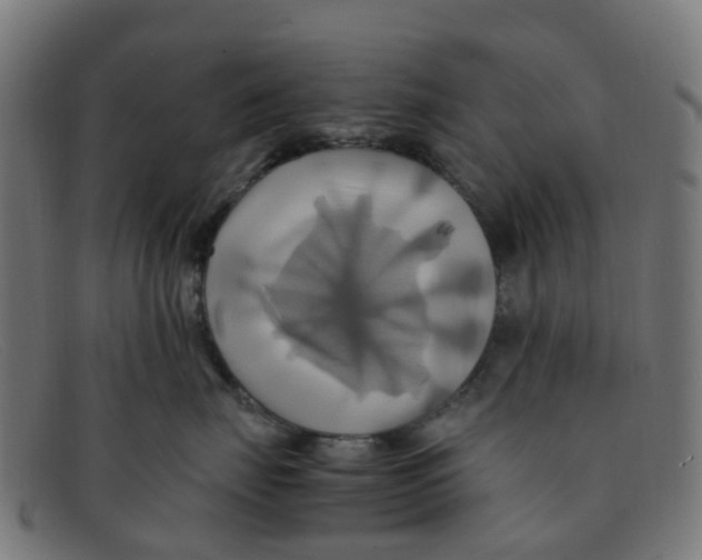 X0000091500671200709131851