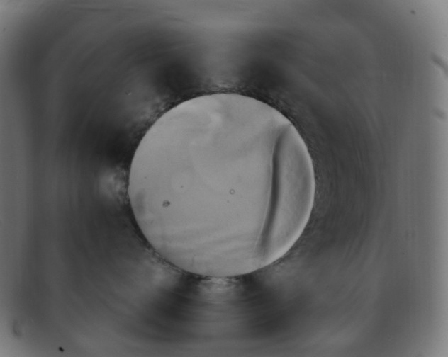 X0000091500672200709131851