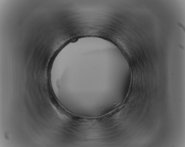 X0000091500674200709131851