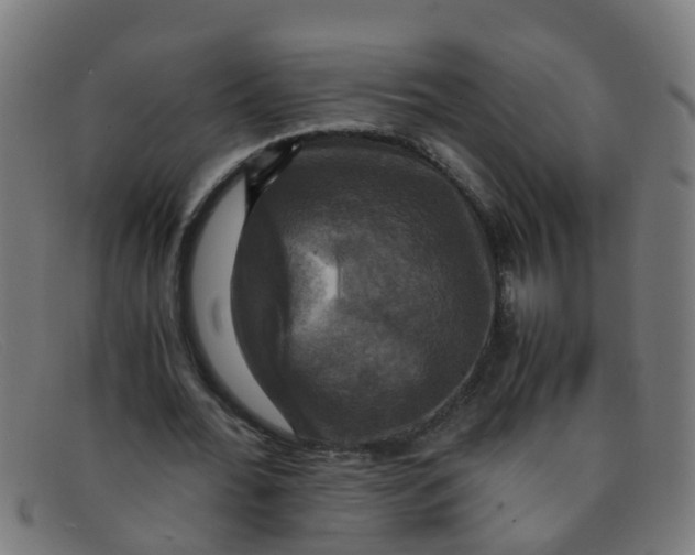 X0000091500676200709131851