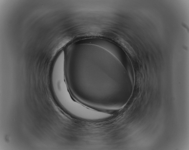 X0000091500677200709131851