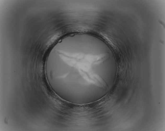 X0000091500679200709131851