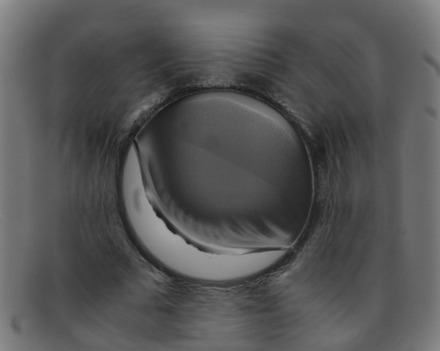 X0000091500681200709131851