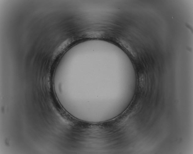 X0000091500682200709131851