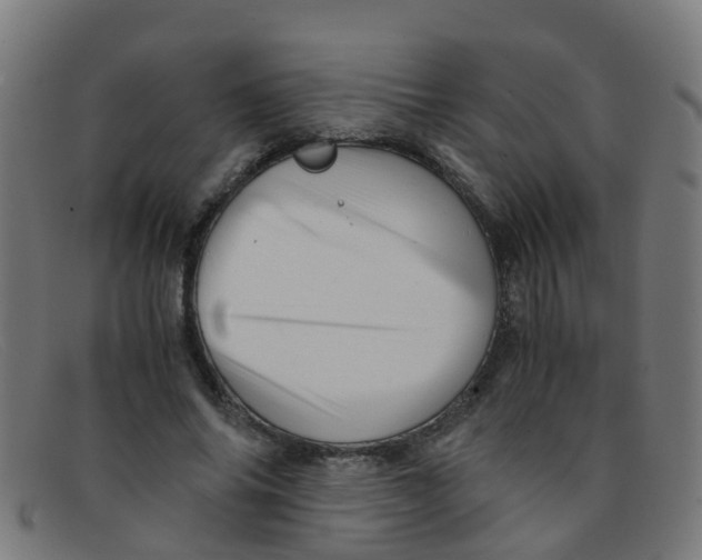 X0000091500686200709131851