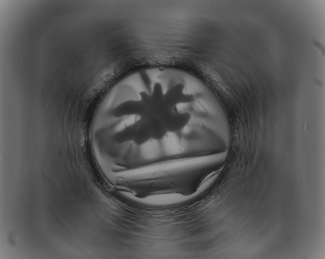 X0000091500687200709131851