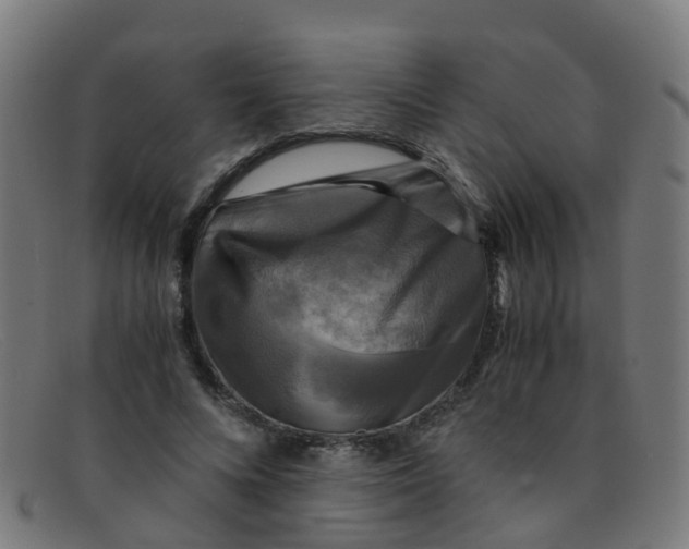 X0000091500688200709131851