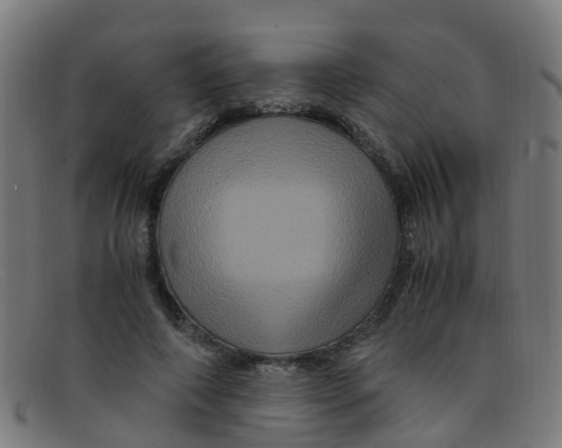 X0000091500690200709131851