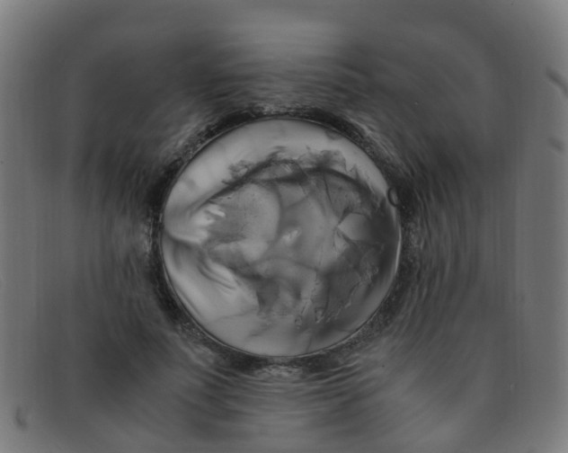 X0000091500691200709131851