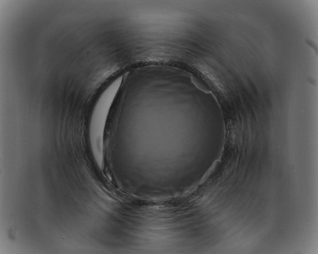 X0000091500692200709131851