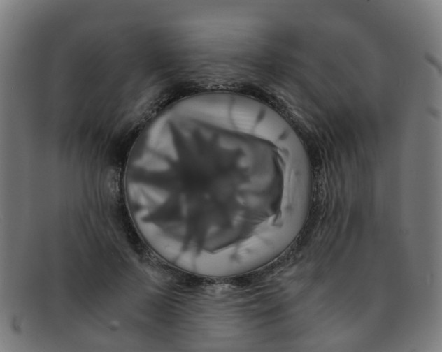 X0000091500695200709131851