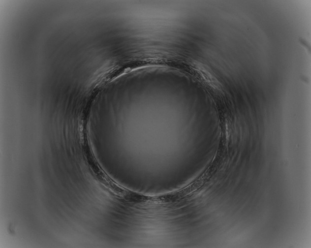 X0000091500696200709131851