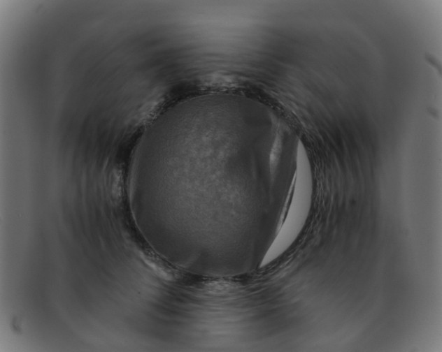 X0000091500708200709131850