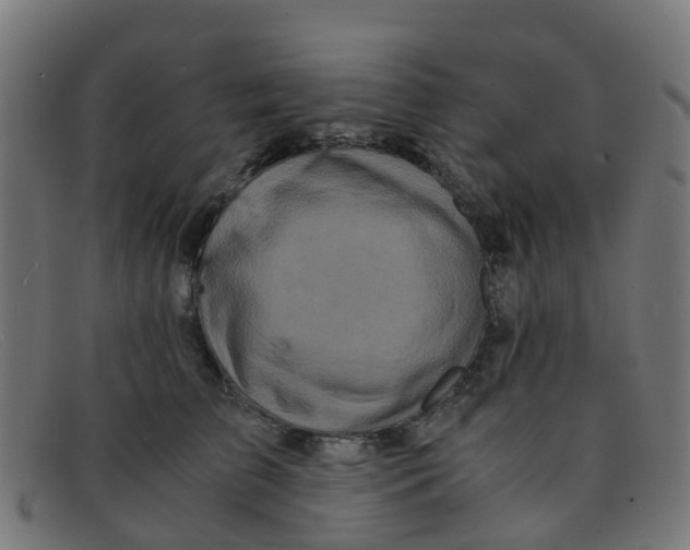 X0000091500709200709131850