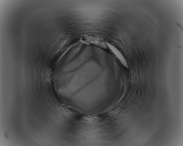 X0000091500712200709131850