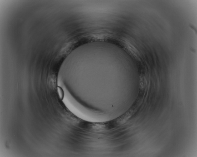 X0000091500718200709131850