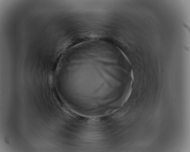 X0000091500720200709131850