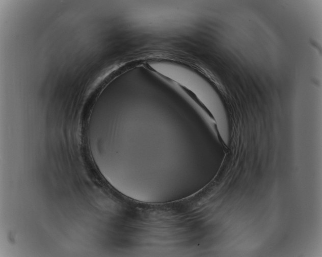 X0000091500722200709131849