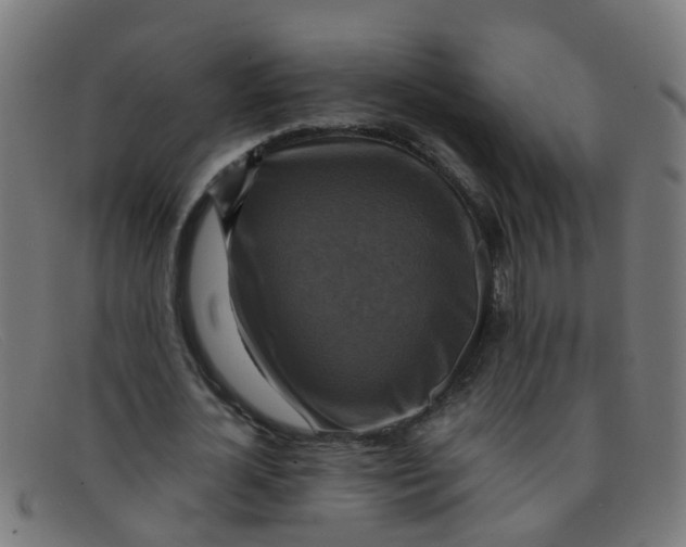 X0000091500724200709131849