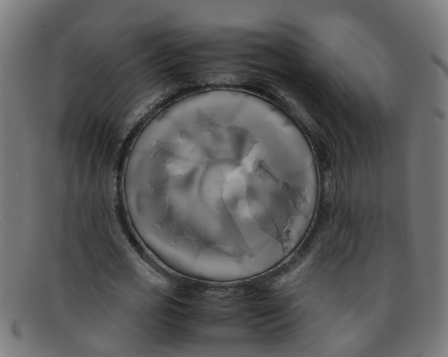 X0000091500725200709131849