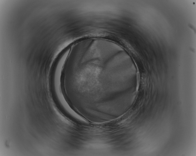 X0000091500726200709131849