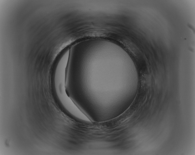 X0000091500727200709131849