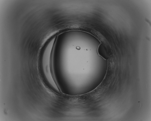 X0000091500728200709131849